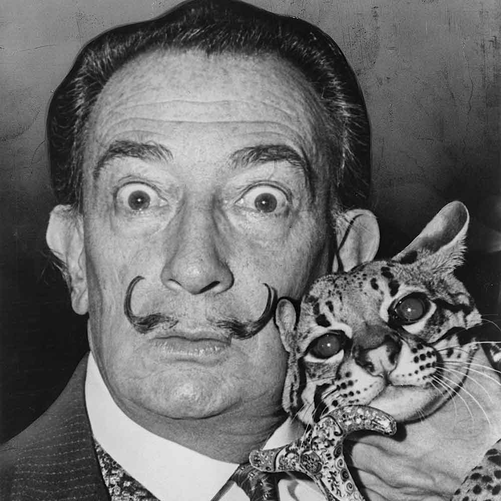 Le bestiaire du crime Scène 2 – Le gatito bonito de Dali